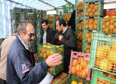 توزیع 98 درصد سهمیه میوه عید در دامغان، حمل 10 تن میوه درخواست شد