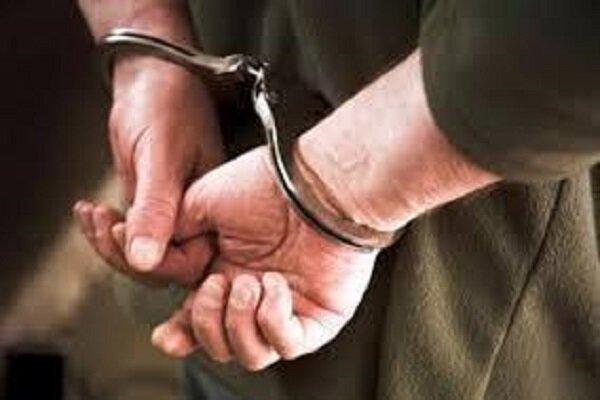 دستگیری دزد حرفه ای و کشف 48 فقره سرقت در ایلام