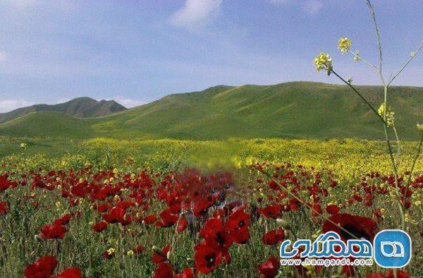 منطقه حفاظت شده مغان یکی از دیدنی های استان اردبیل به شمار منطقه حفاظت شده مغان یکی از دیدنی های استان اردبیل به شمار می رود