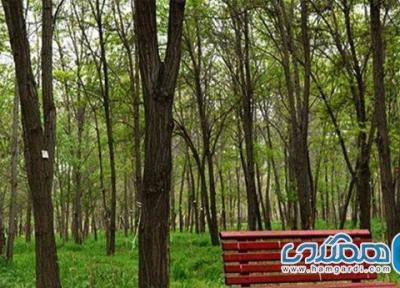 پارک جنگلی طرق یکی از تفرجگاه های استان خراسان رضوی به شمار می رود