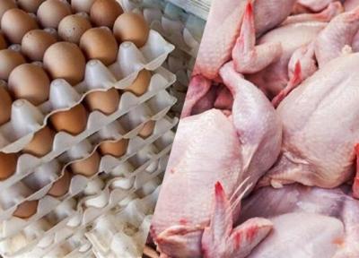 تصویب قیمت تازه مرغ و تخم مرغ تا فروردین سال آینده ، هر شانه تخم مرغ چند شد؟
