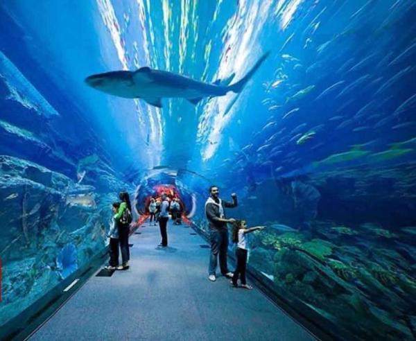 Construction of the Largest Aquarium Tunnel in the City of Shiraz in Iran